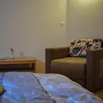 One Bedroom 公寓 Brežice
