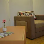 One Bedroom Appartement Brežice