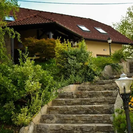 One Bedroom Apartma Brezice