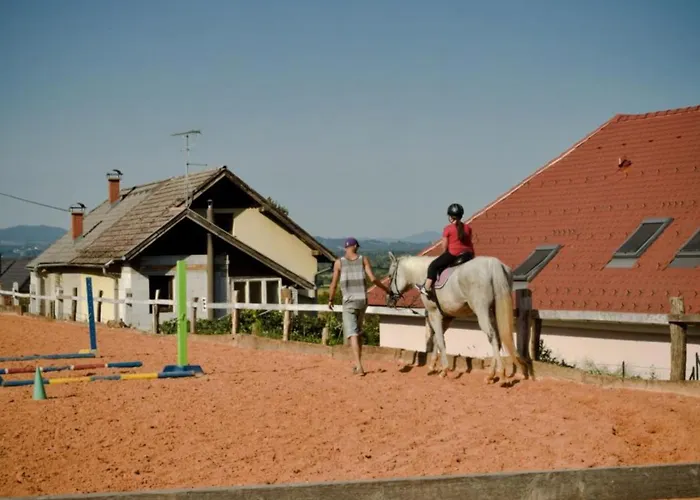 Apartman One Bedroom Brežice