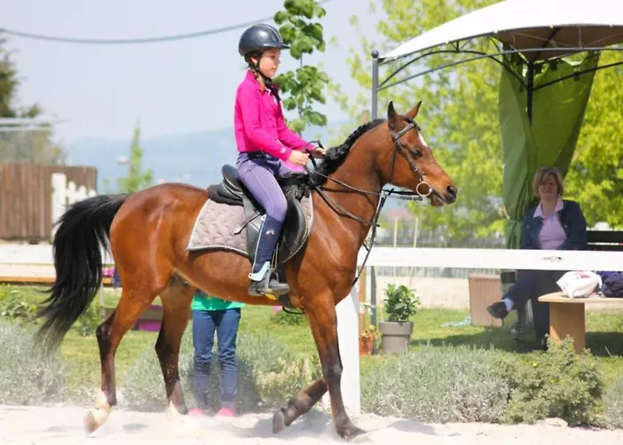 Апартаменты One Bedroom *